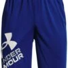 Under Armour PrototypeLogo- Sports Shorts - Royal